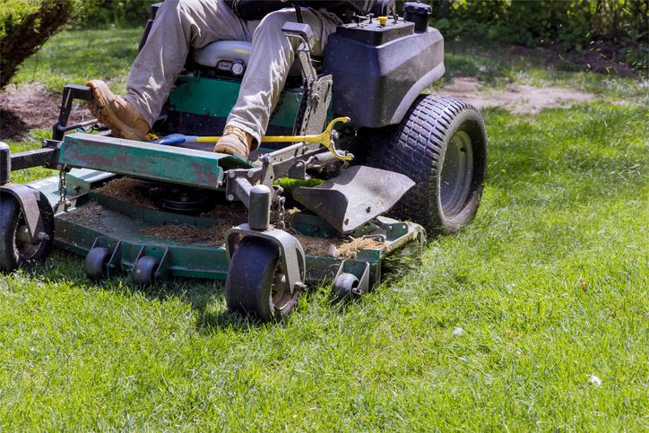Garden care work tool in working lawn mower on green lawn with trimmed grass